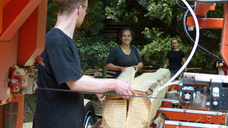 Team members help to cut wood