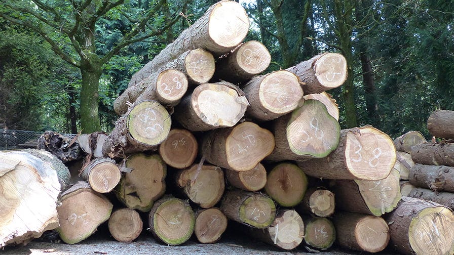 Log pile prepared for milling